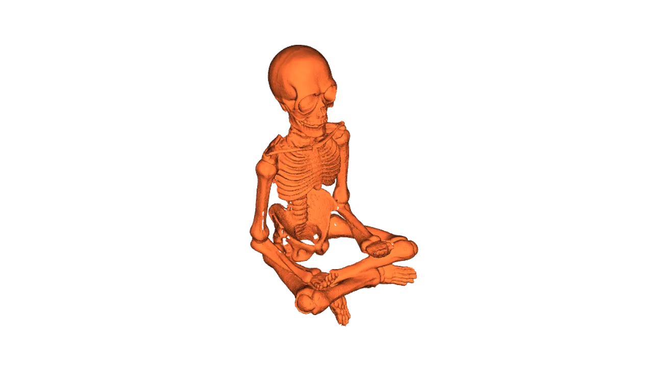 Skeleton Model（generated by Revopoint POP） by PLAprinter | Download ...