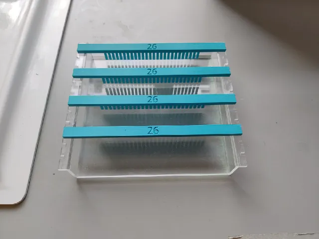 Electrophoresis gel comb