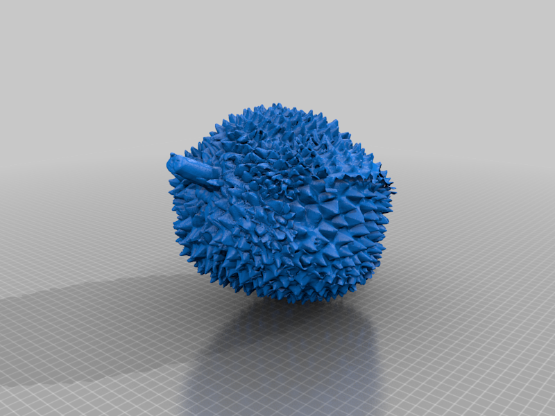 Livestream durian(generated by revopoint pop)