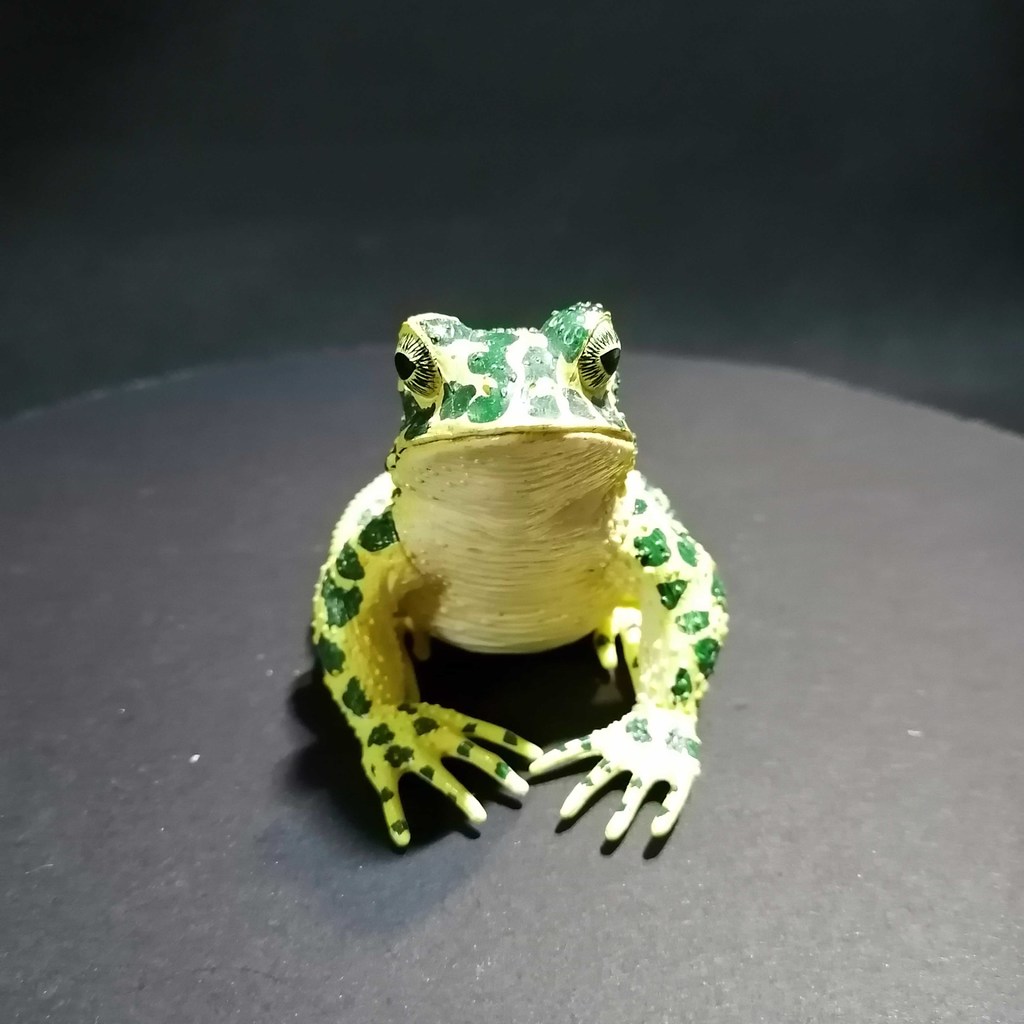 Toad（generated by Revopoint POP） by PLAprinter | Download free STL ...
