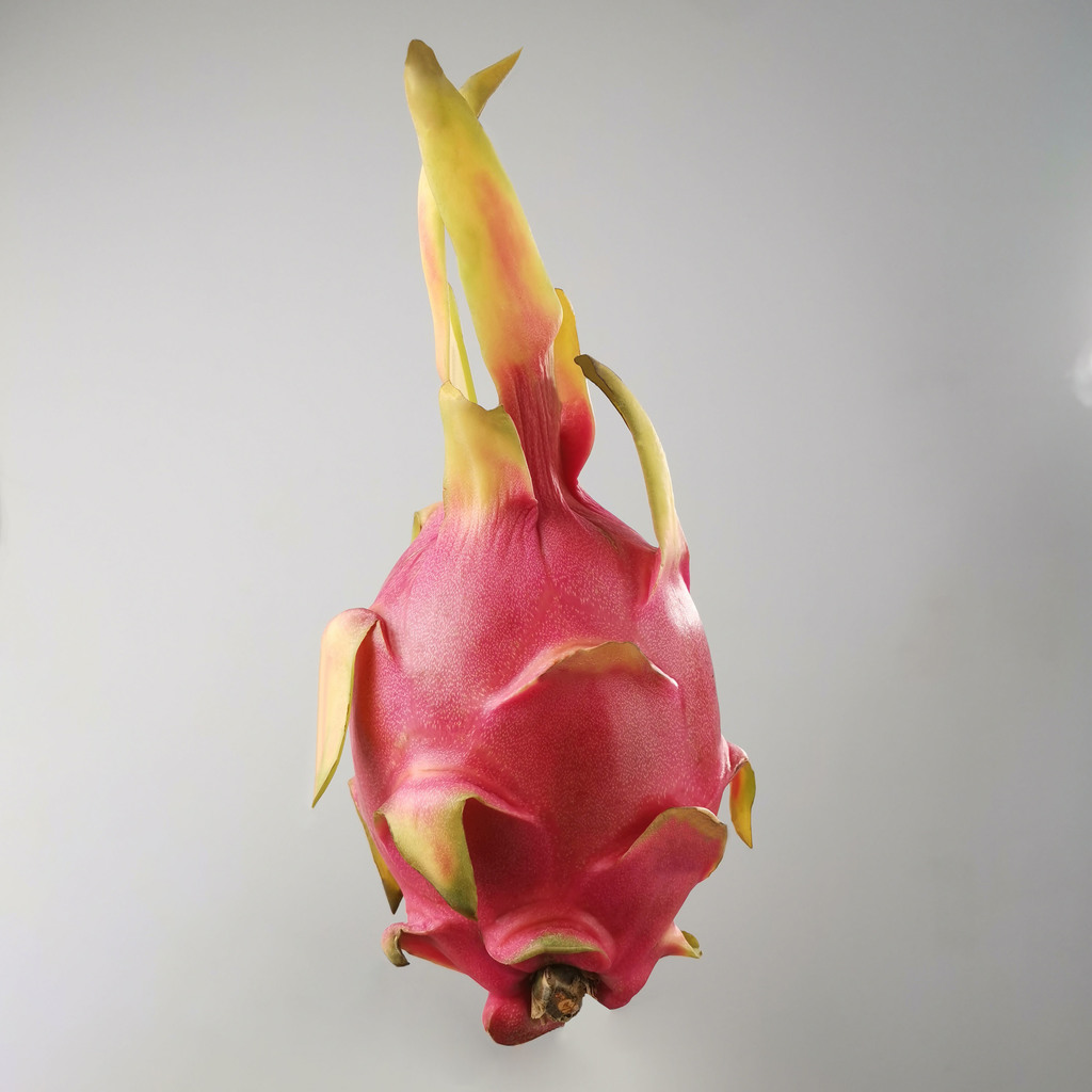 Dragon fruit-Pitaya（generated by revopoint pop）
