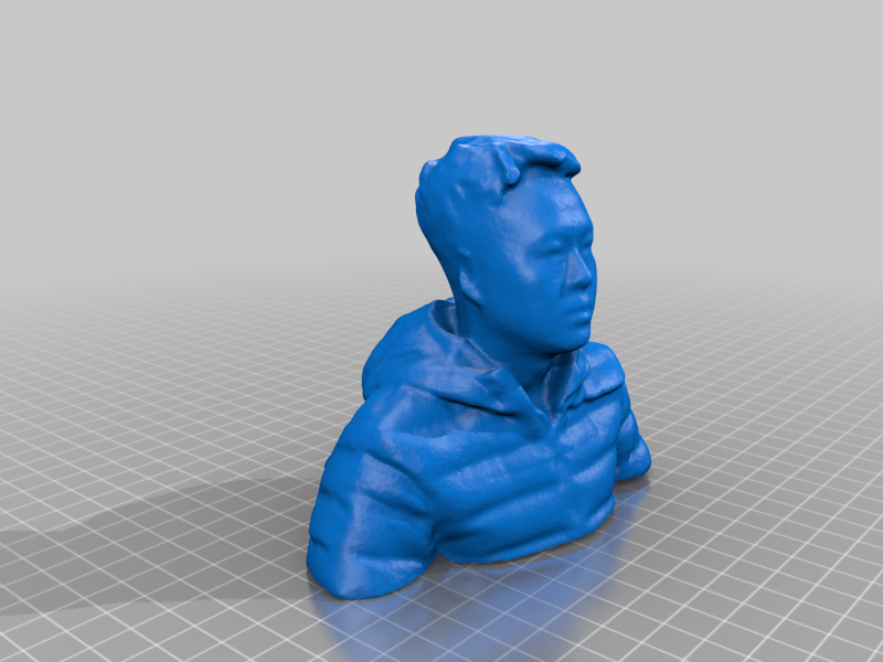 Bust toy（generated by Revopoint POP） by PLAprinter | Download free STL ...