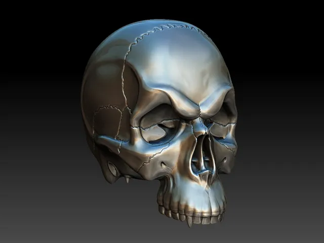 Skull
