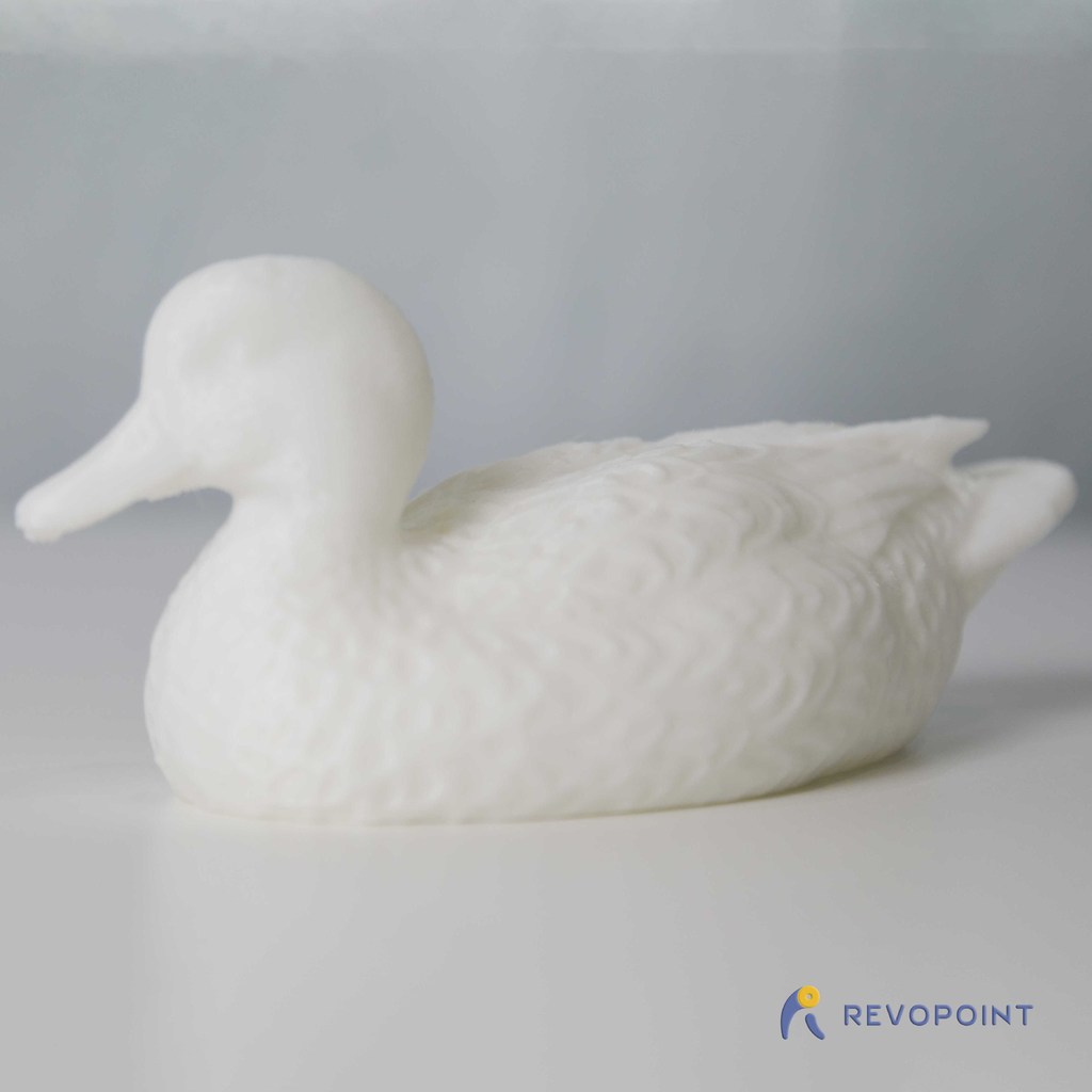 Wild Duck