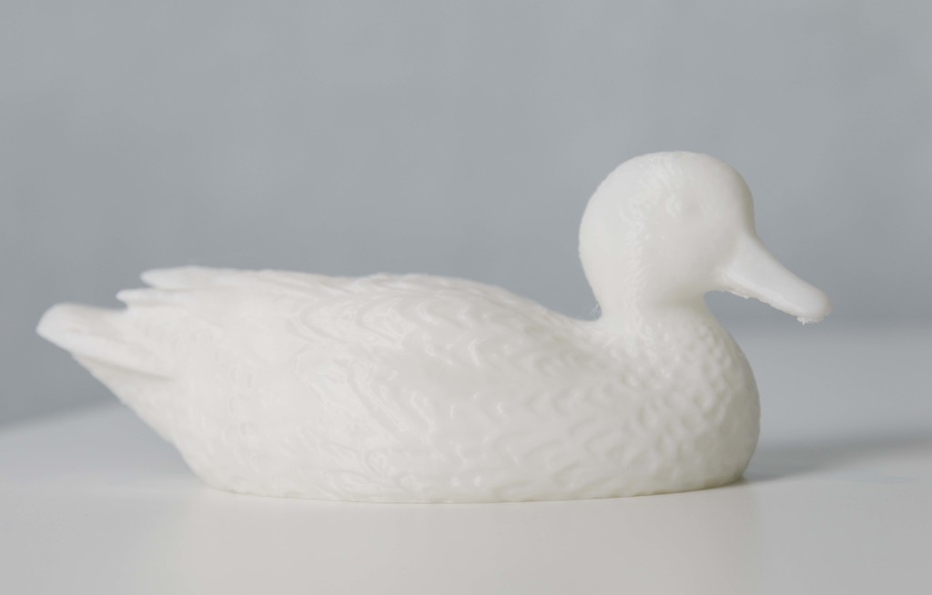 Miniatura 2 do modelo 3D Wild Duck