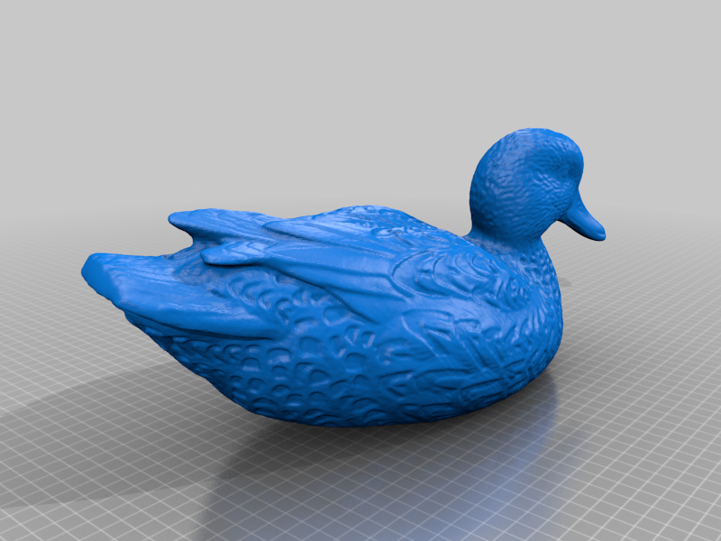 Miniatura 5 do modelo 3D Wild Duck