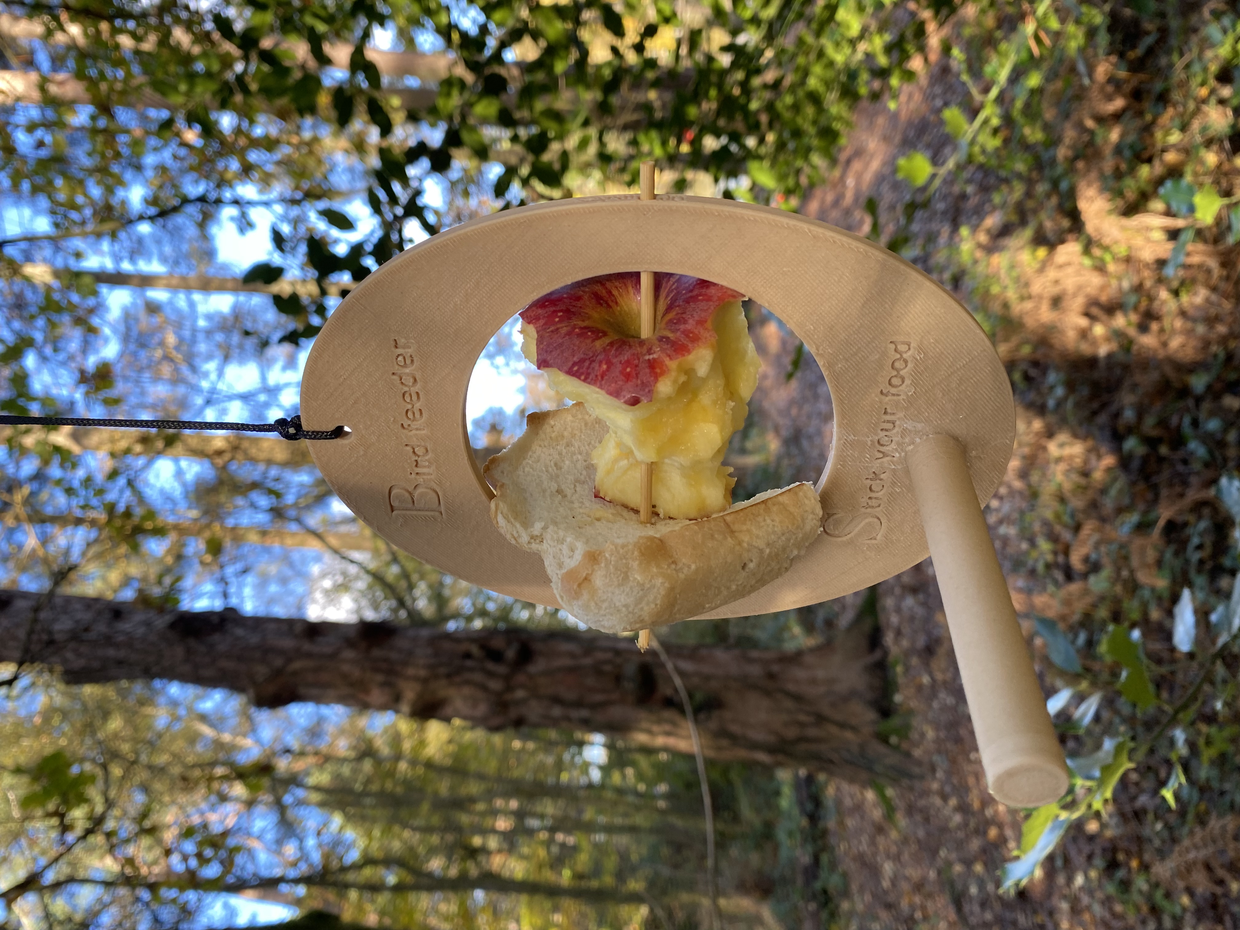 Bird Feeder