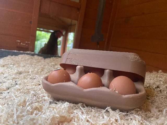 Multi-use egg carton V1 - Mehrwegeierkarton V1