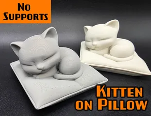 Sleeping Kitten on Pillow No Supports