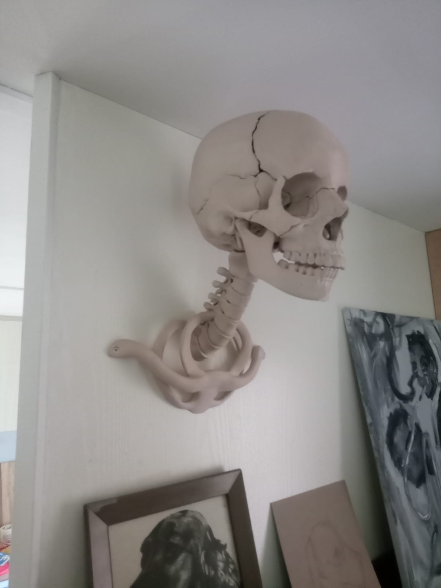 Spine wall mount for human skull