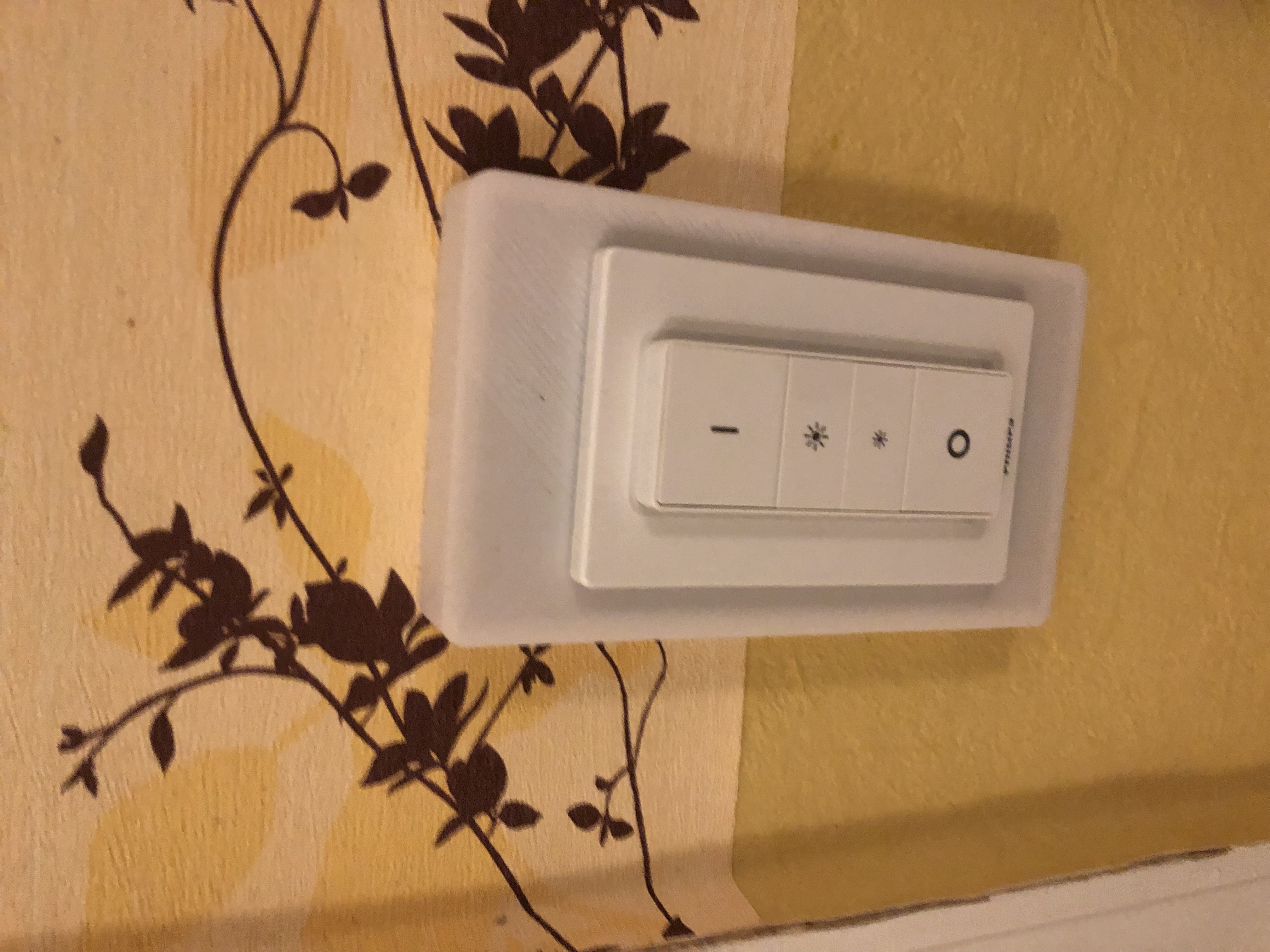 Light switch cover for Hue switch