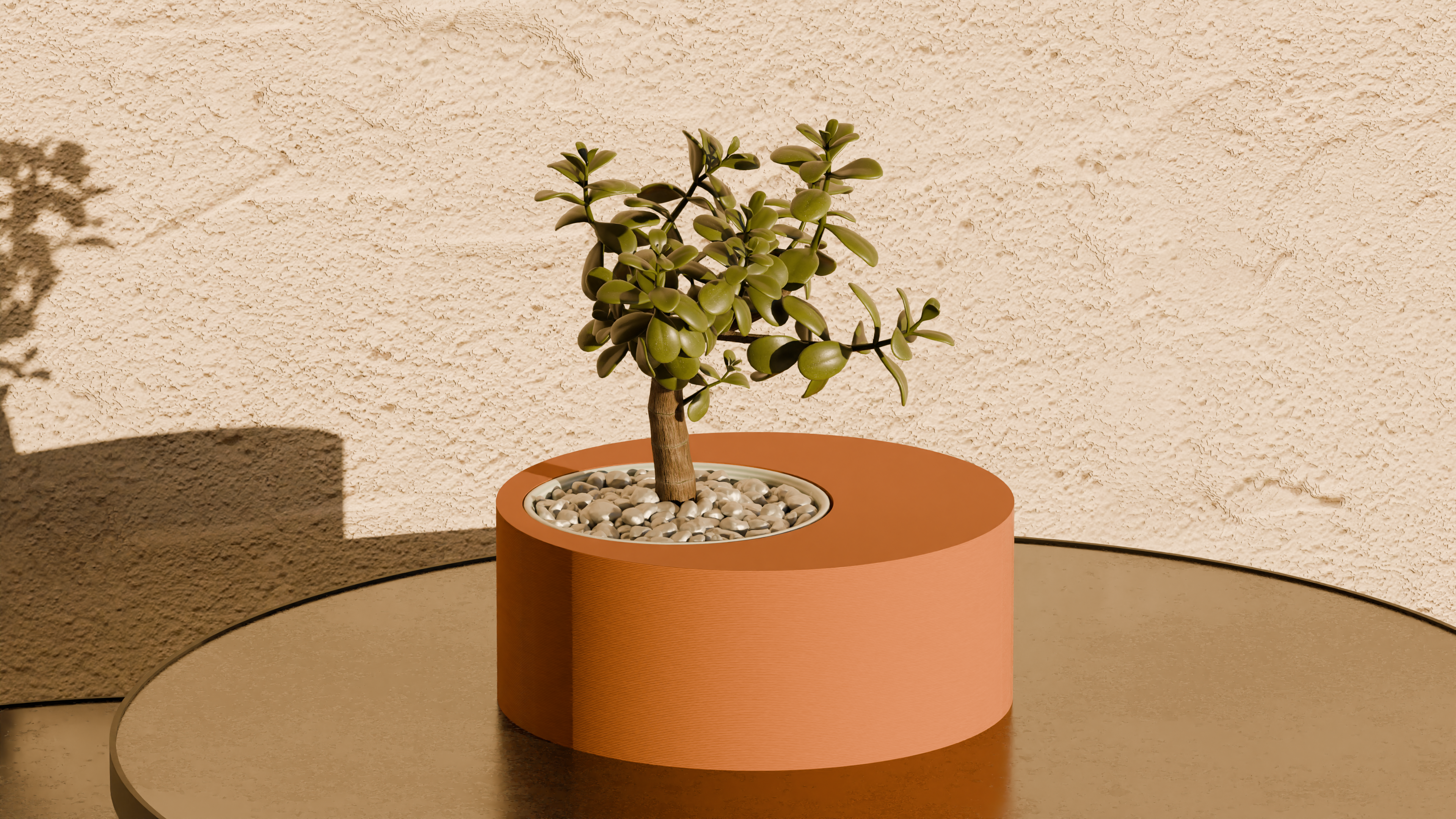 Off Circle Pot Plant - Home Decoration