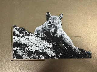 Surprised Squirrel (Hueforge)