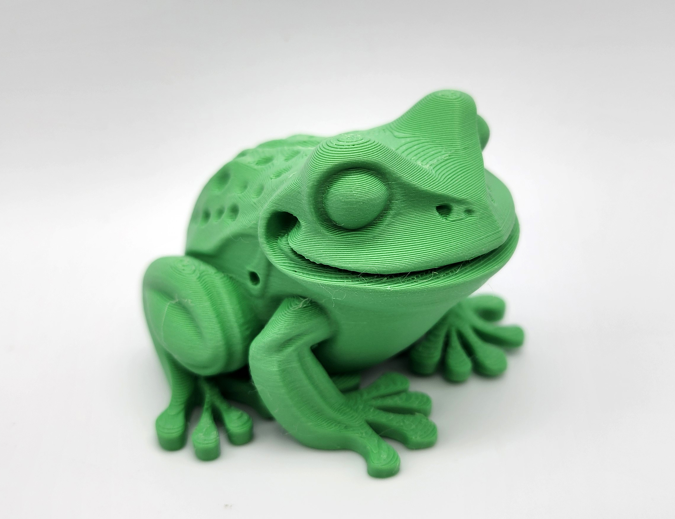 Flat-bottom Toad — thumbnail 5