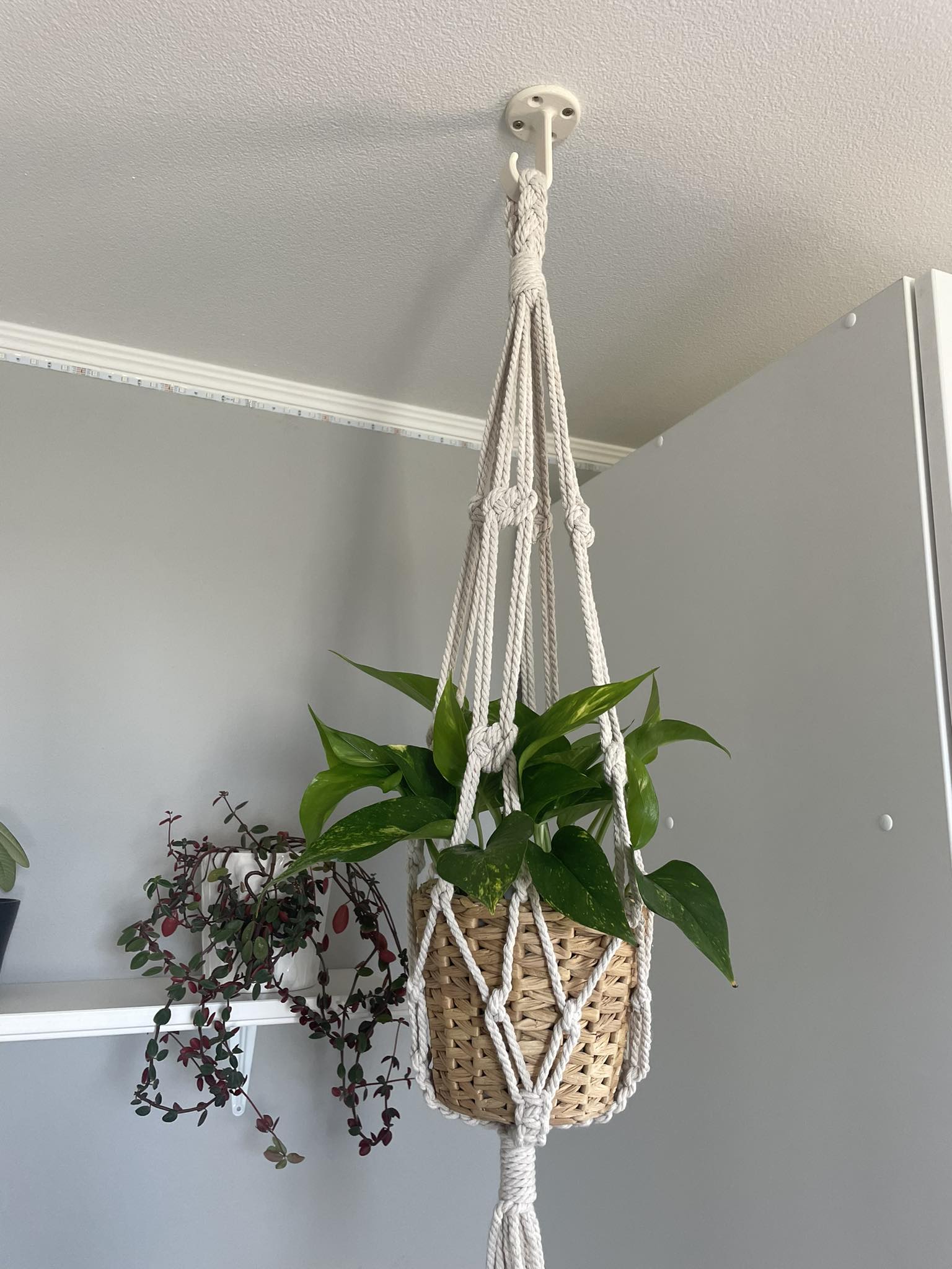 Hanging hook for Macrame plant holder