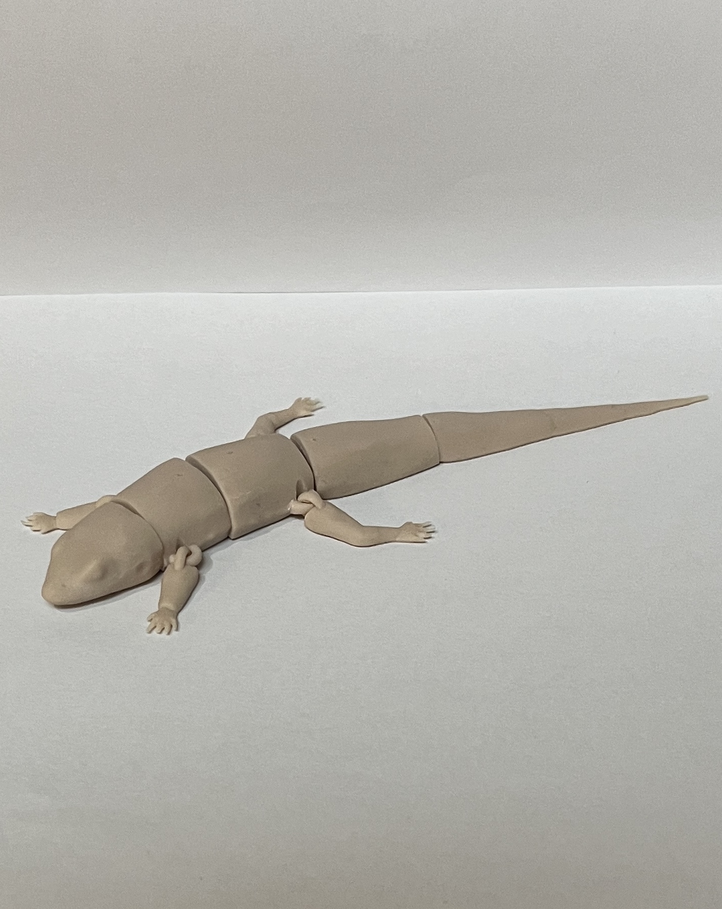 FLEXI COMMON SIDE BLOTCHED LIZARD