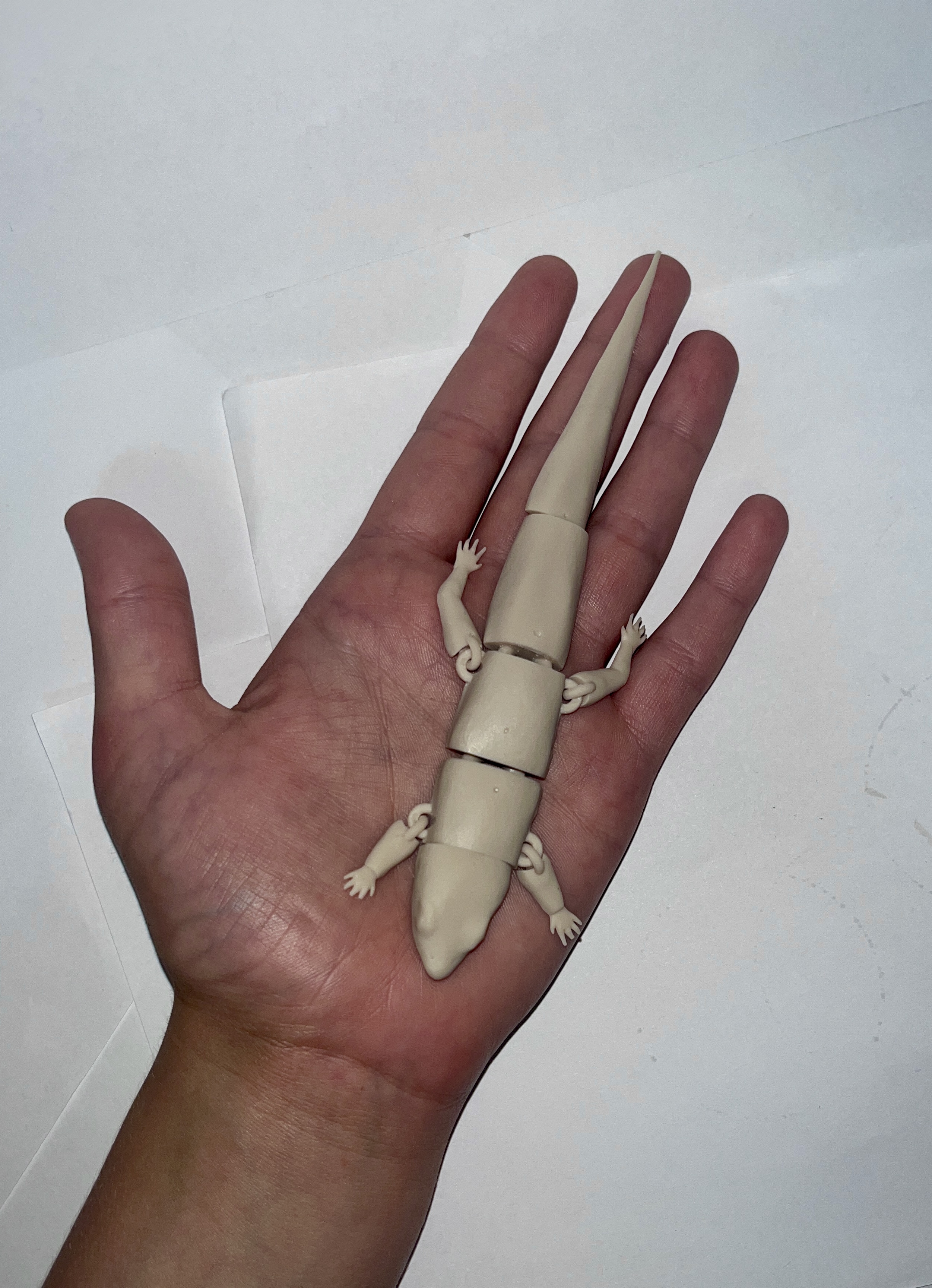 Miniatura 5 do modelo 3D FLEXI COMMON SIDE BLOTCHED LIZARD