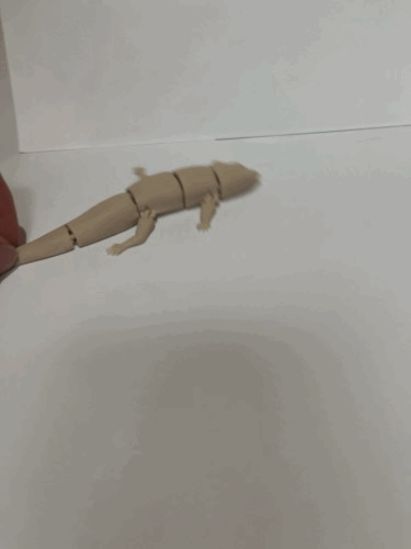 Miniatura 3 do modelo 3D FLEXI COMMON SIDE BLOTCHED LIZARD