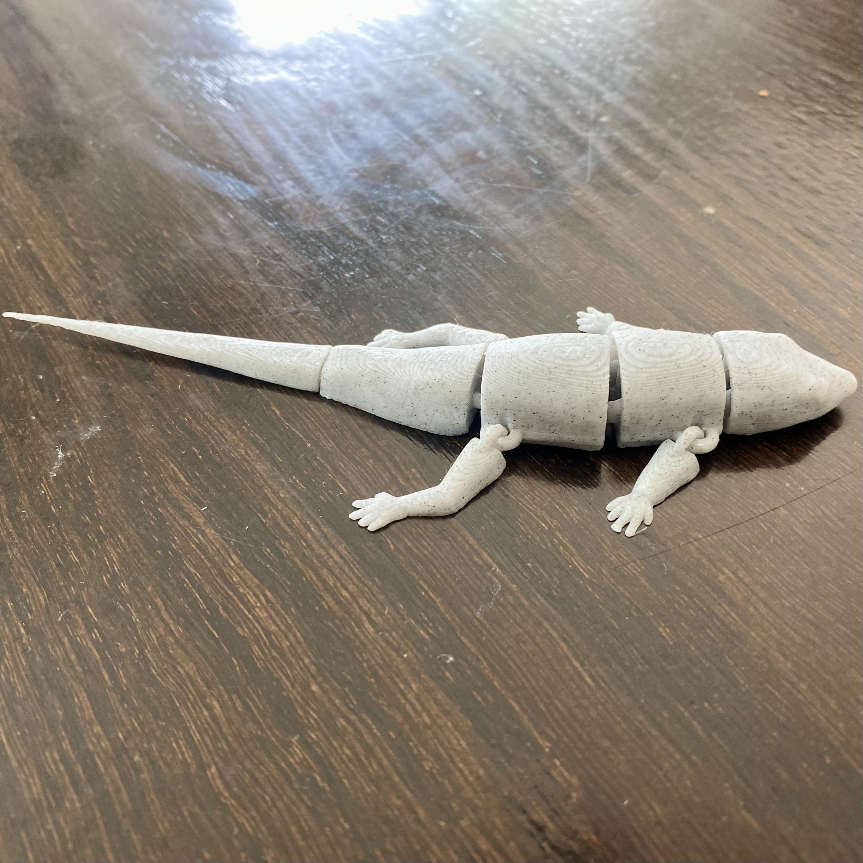 Miniatura 2 do modelo 3D FLEXI COMMON SIDE BLOTCHED LIZARD