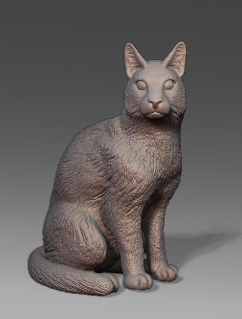 Sitting Cat