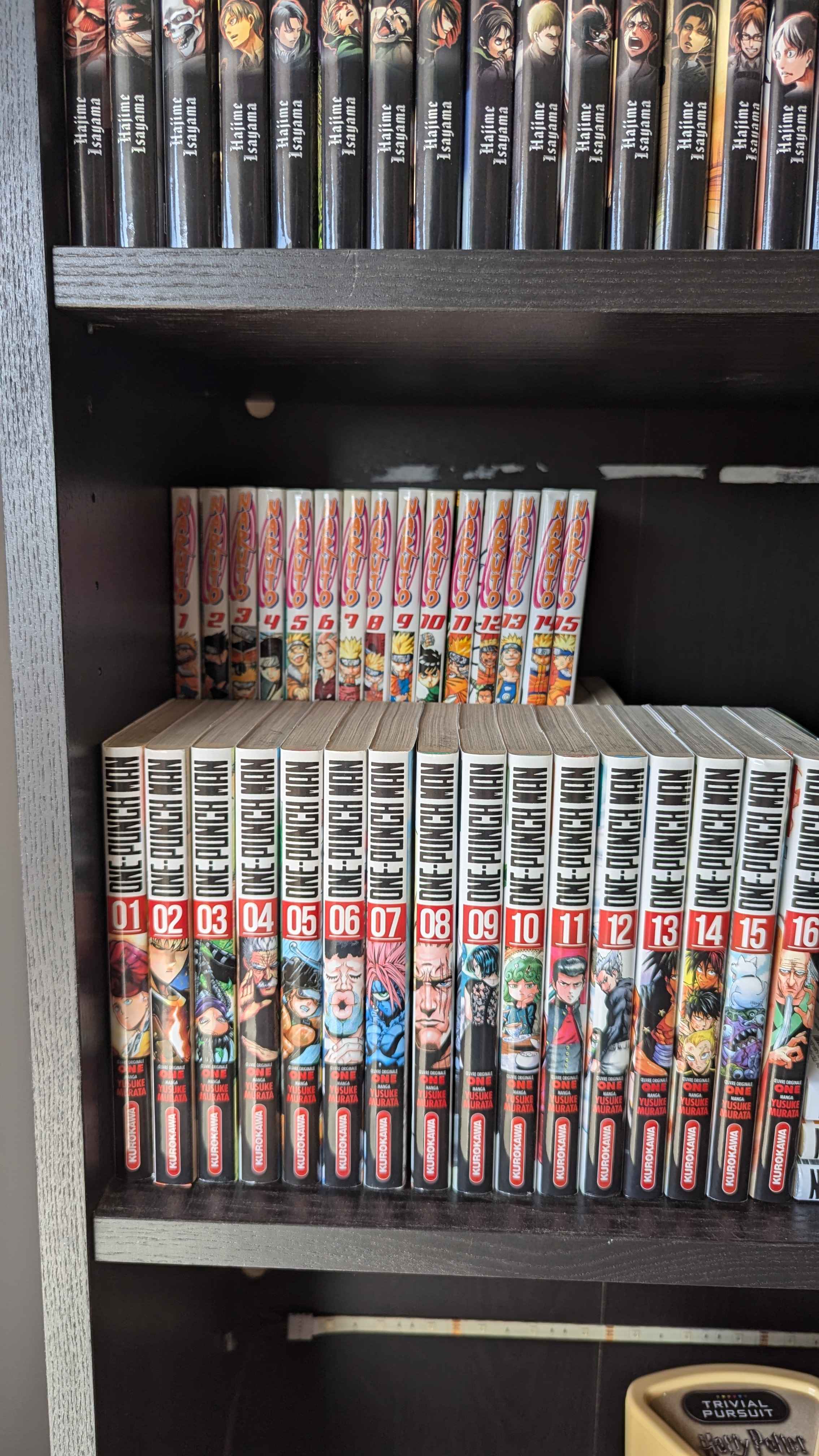 Manga Riser Billy Ikea