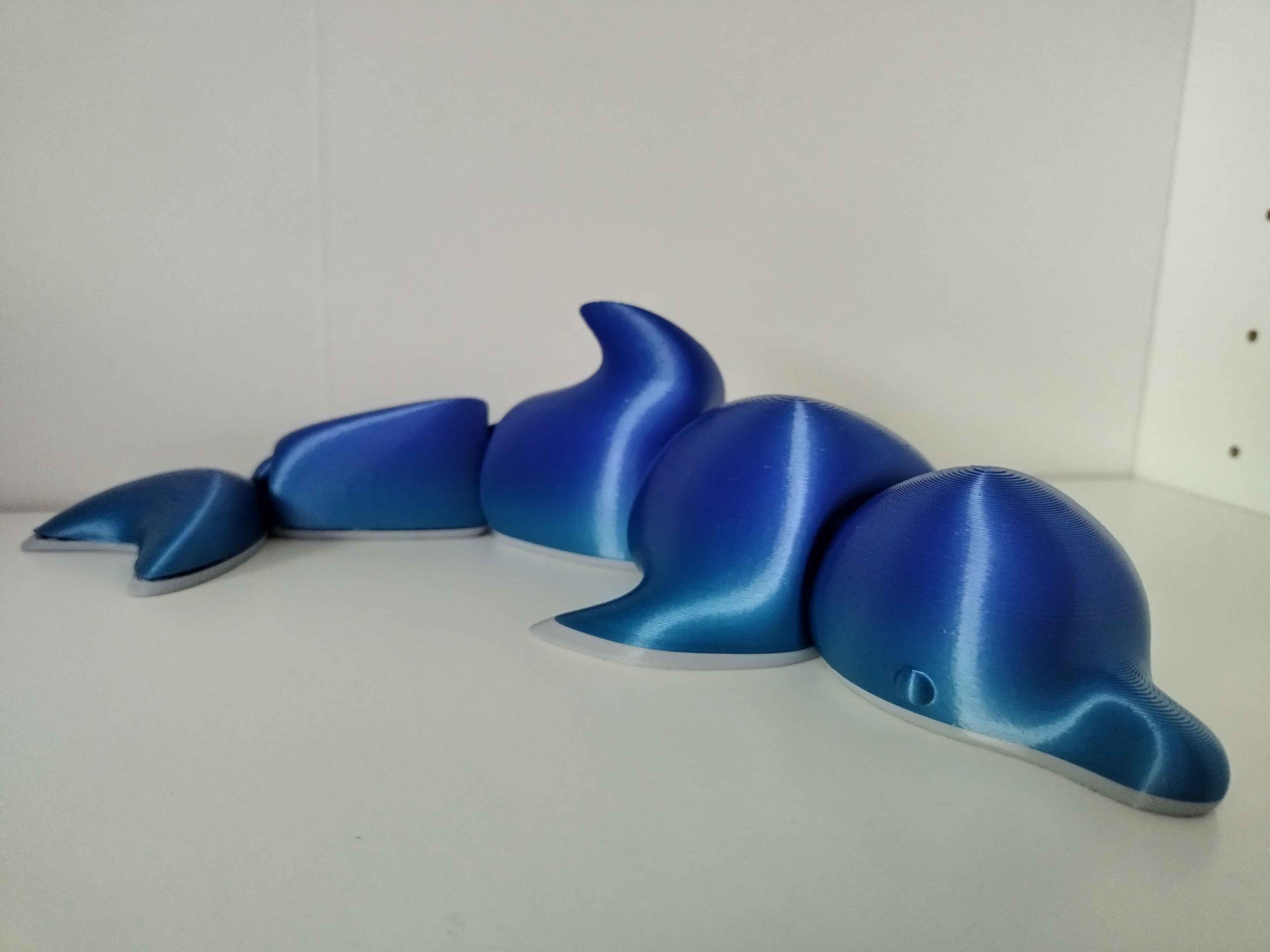 Miniatura 2 do modelo 3D Articulated Dolphin