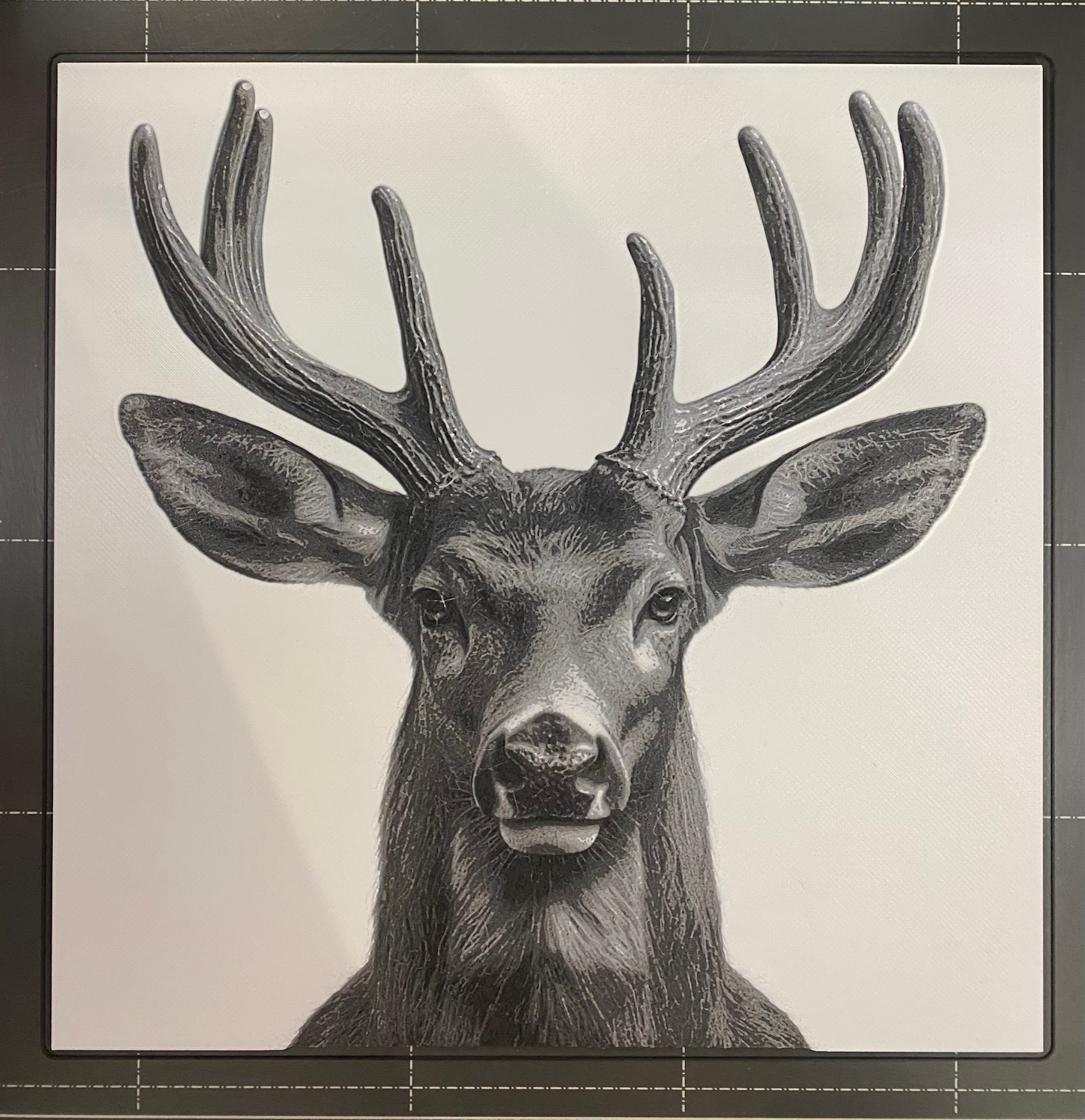 Whitetail Buck - Hueforge