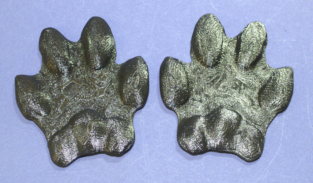 Fox pawpad