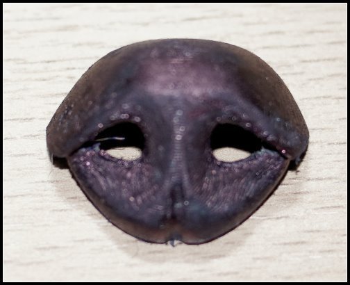Dog nose version5