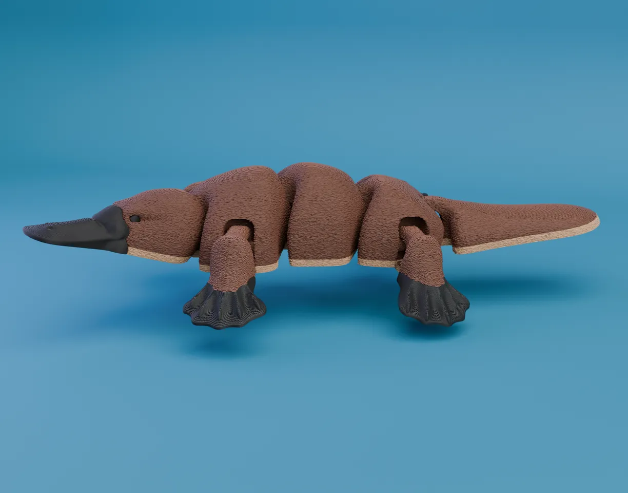 レア ⭐️MEFFERT’S Platypus Color Collection Articulated Platypus (Singlecolor + Multicolor files) by