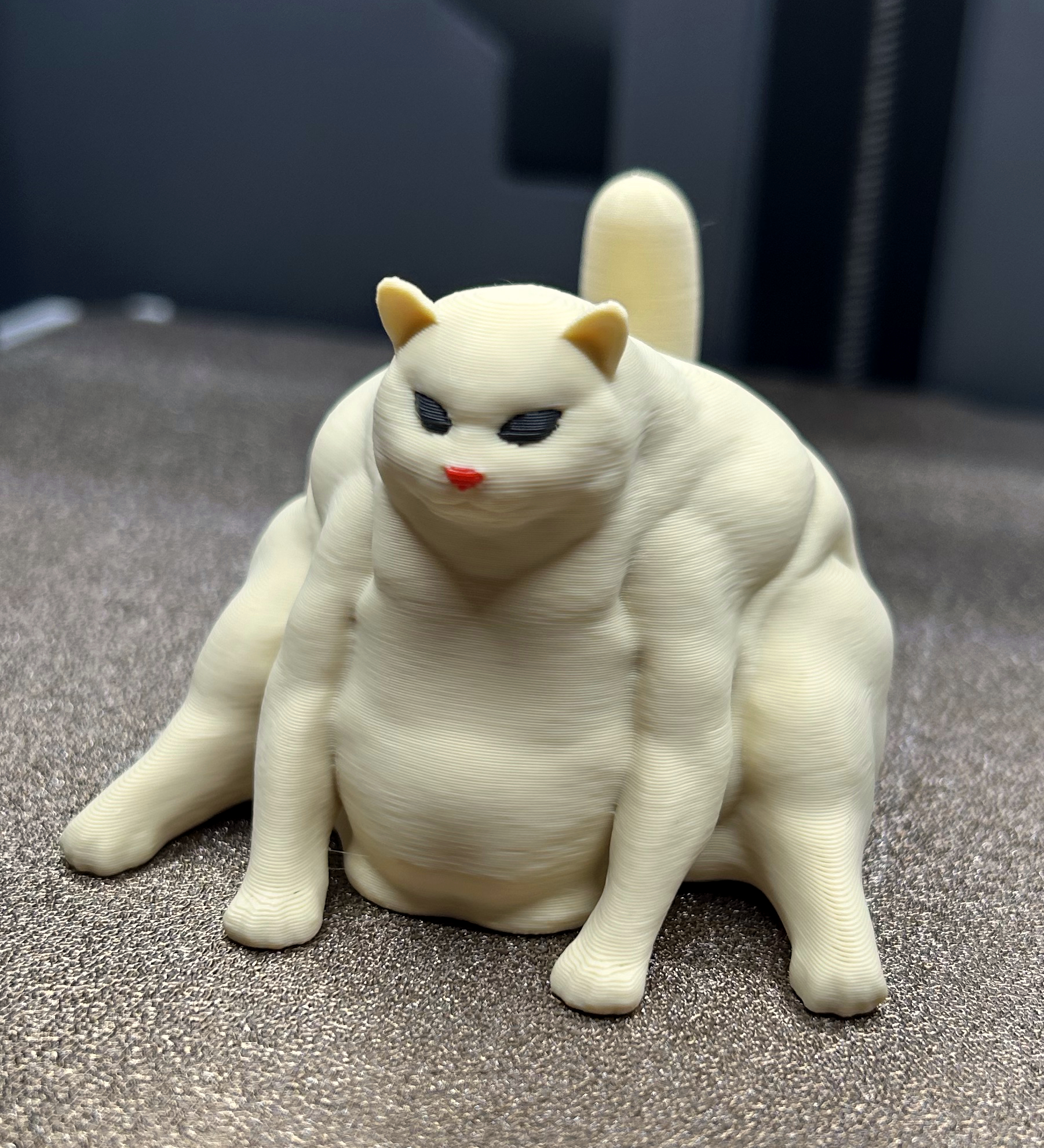 Miniatura 2 do modelo 3D Chonky Cat