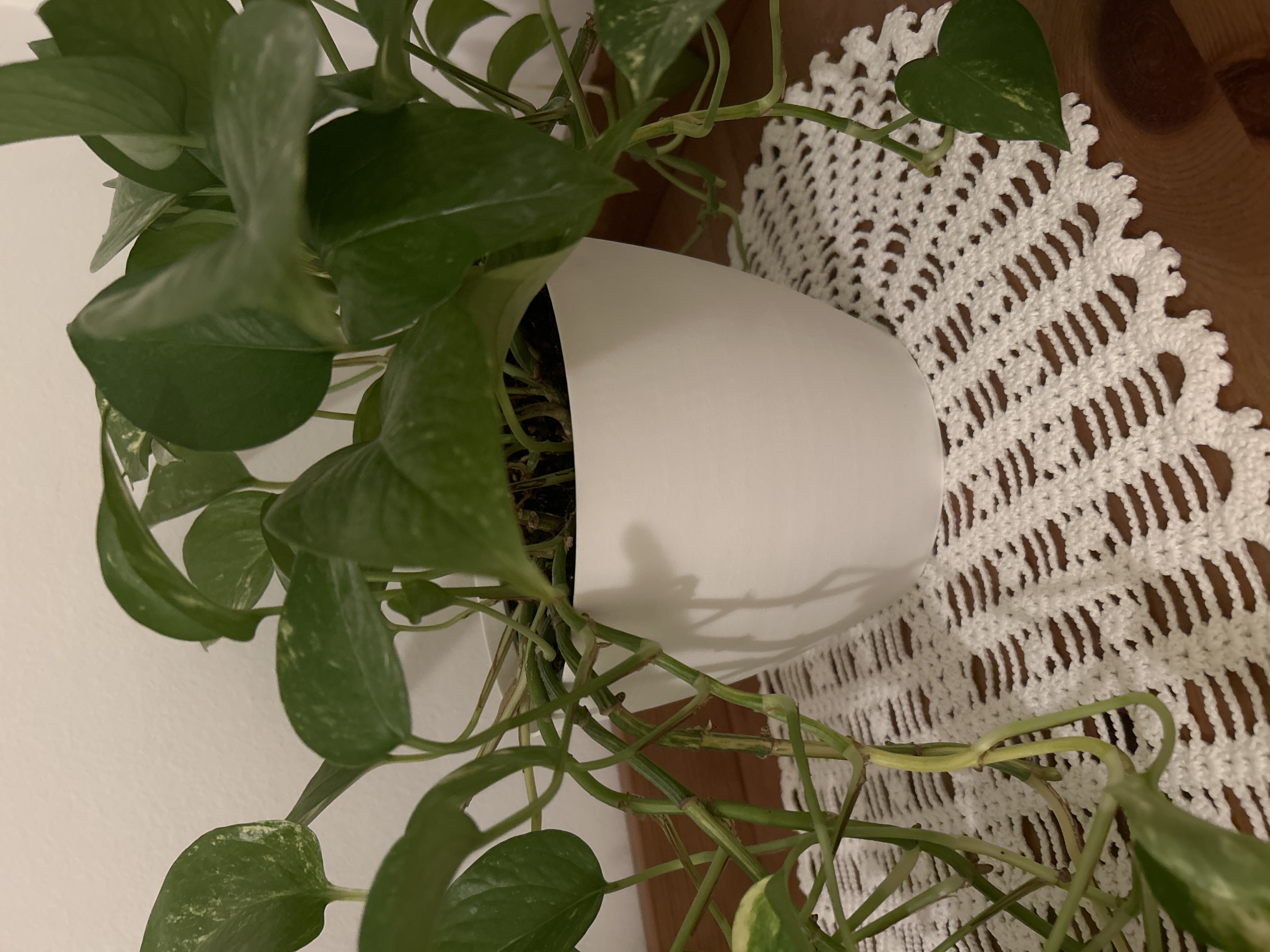 Big Simple Vase