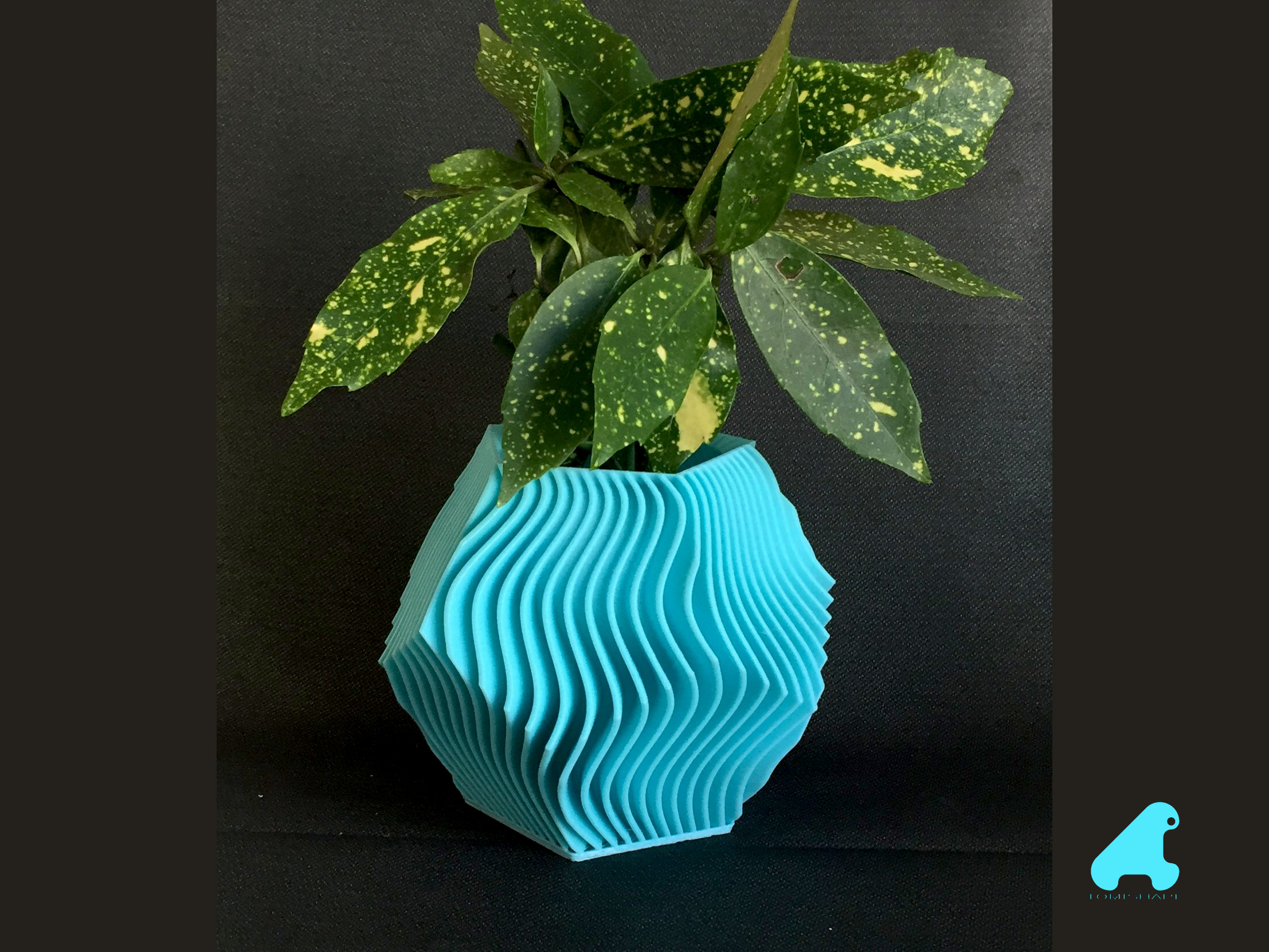 POT DE FLEURS - PLANTES DODECADRE-RAYURES VAGUE