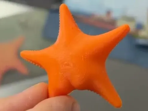 Imán de Estrella Potuda - Butted Starfish Magnet