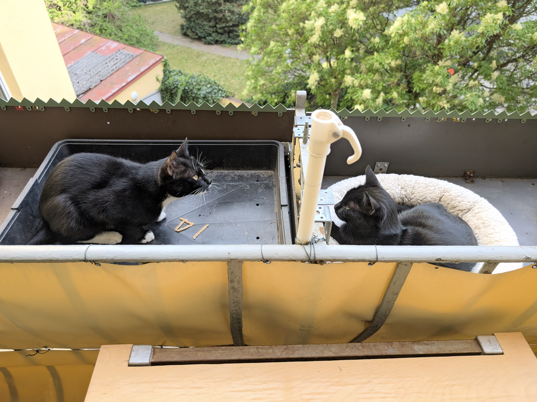 CatSpikes, Balcony railing extension - TESTED!