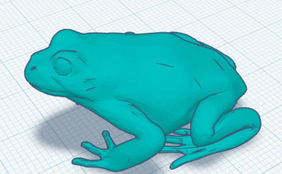 Frog