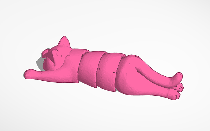 flexi cat