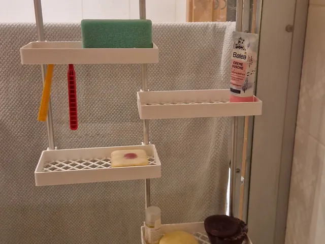 A shelf system for shower corners