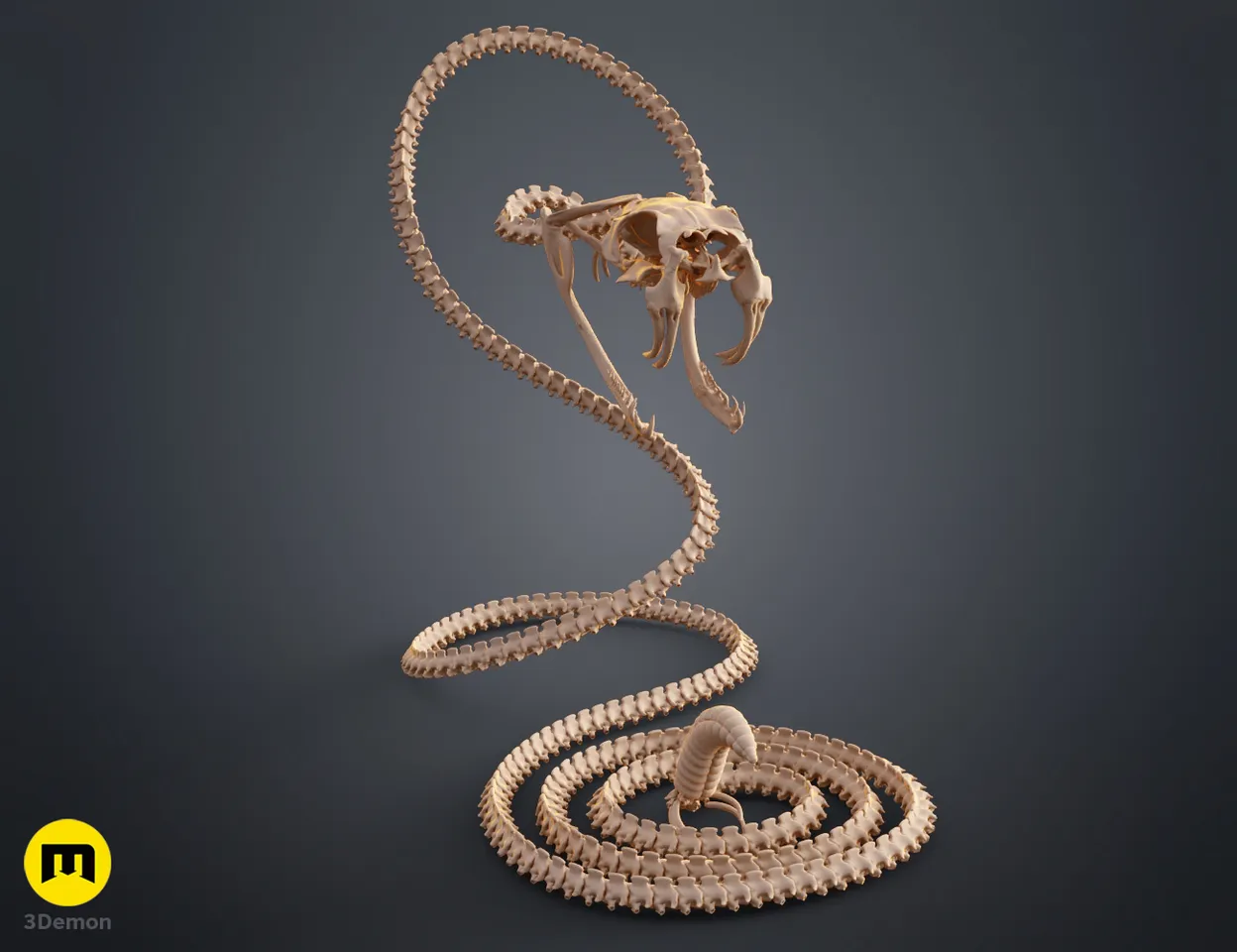 Rattlesnake Skeleton - Realistic Model by 3Demon | Download STL