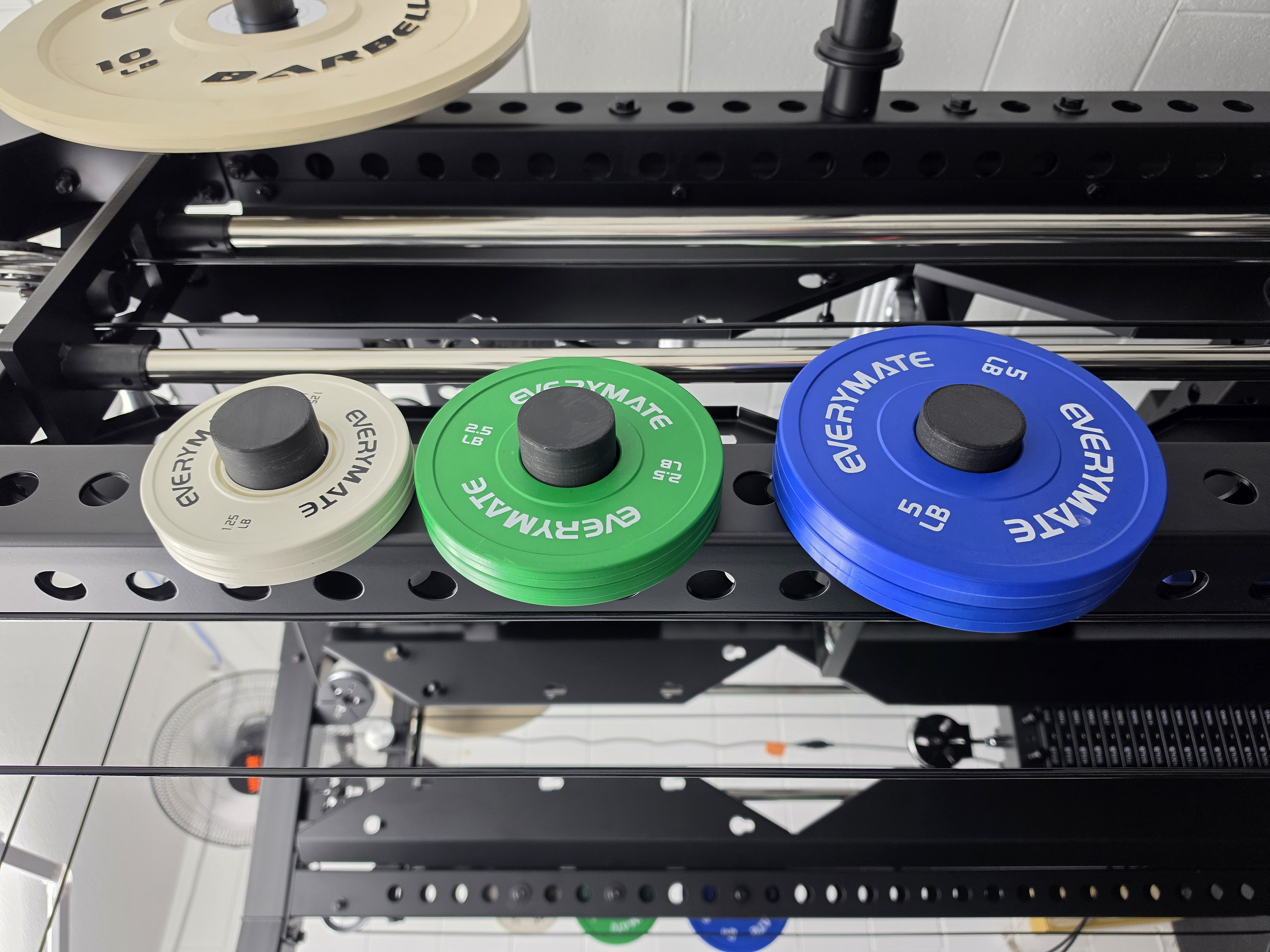 Fractional Weight Plate Mount