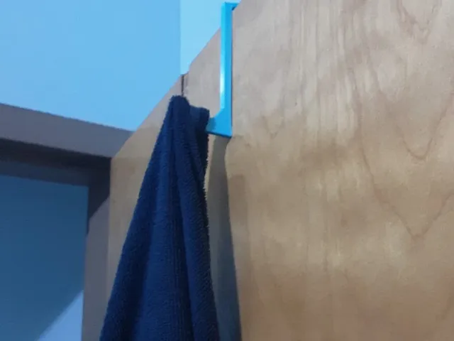 Over door hook