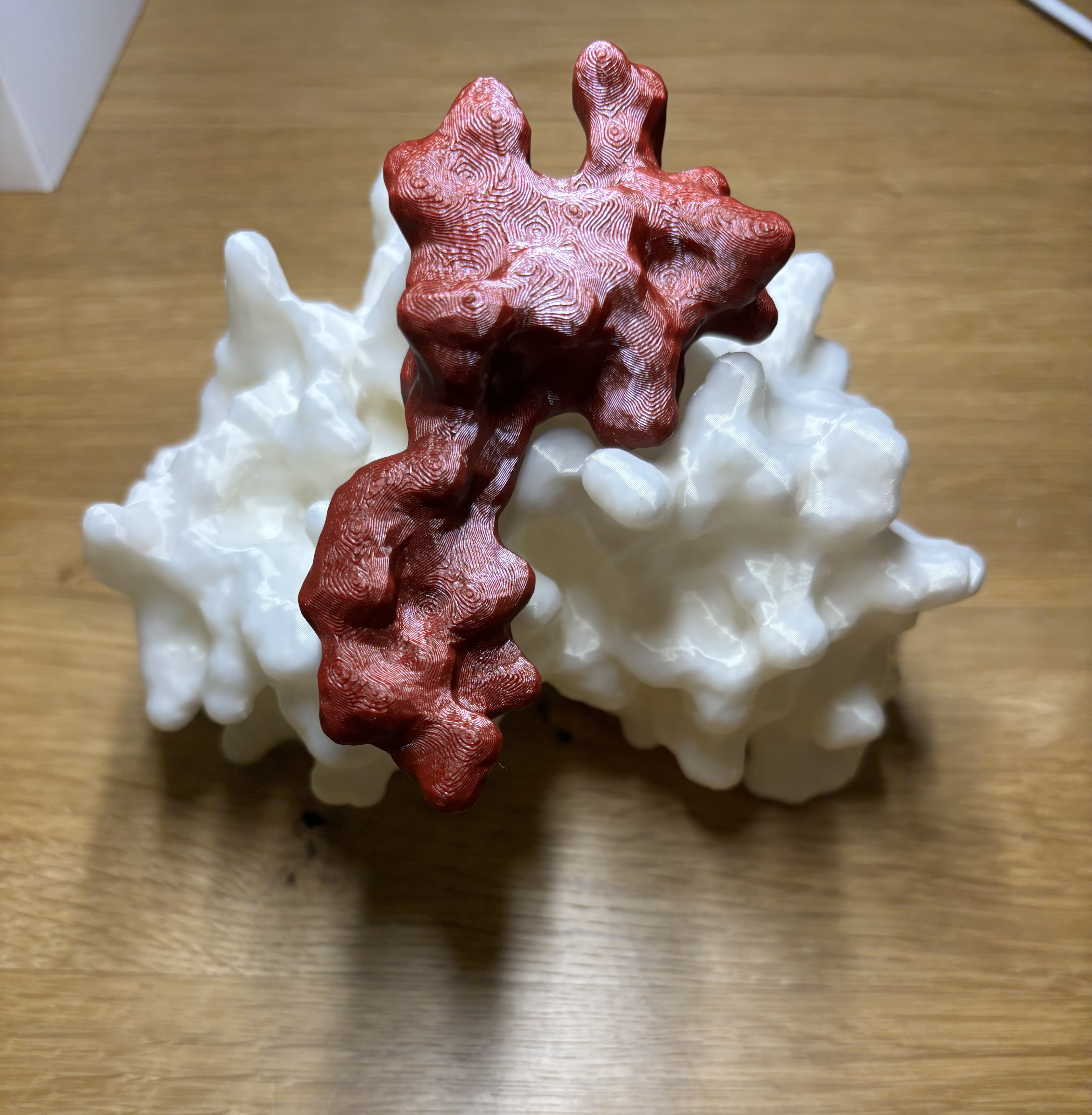 Printable protein complex — thumbnail 2