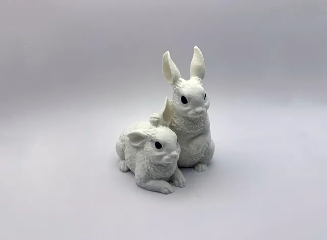 Two Bunnies