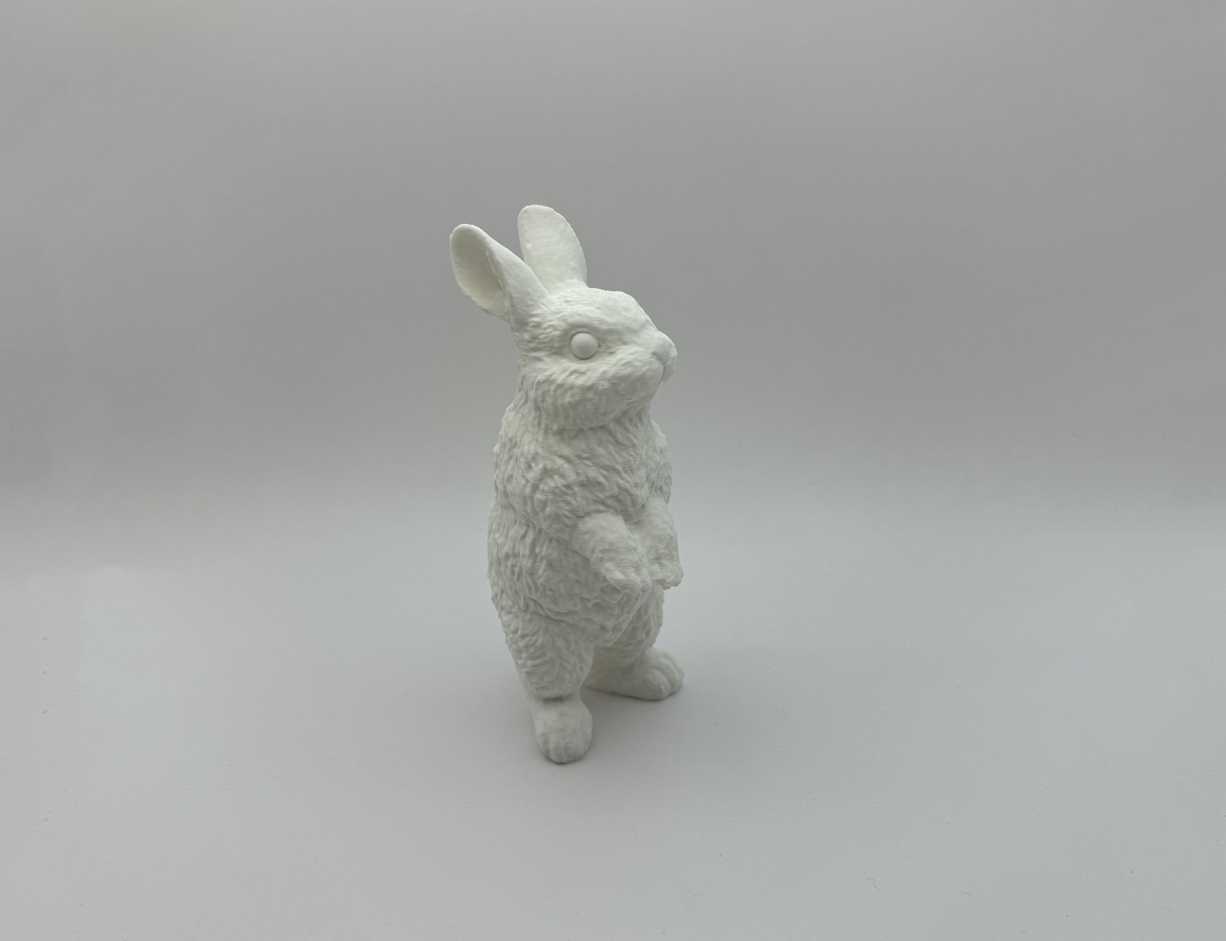 Standing Rabbit