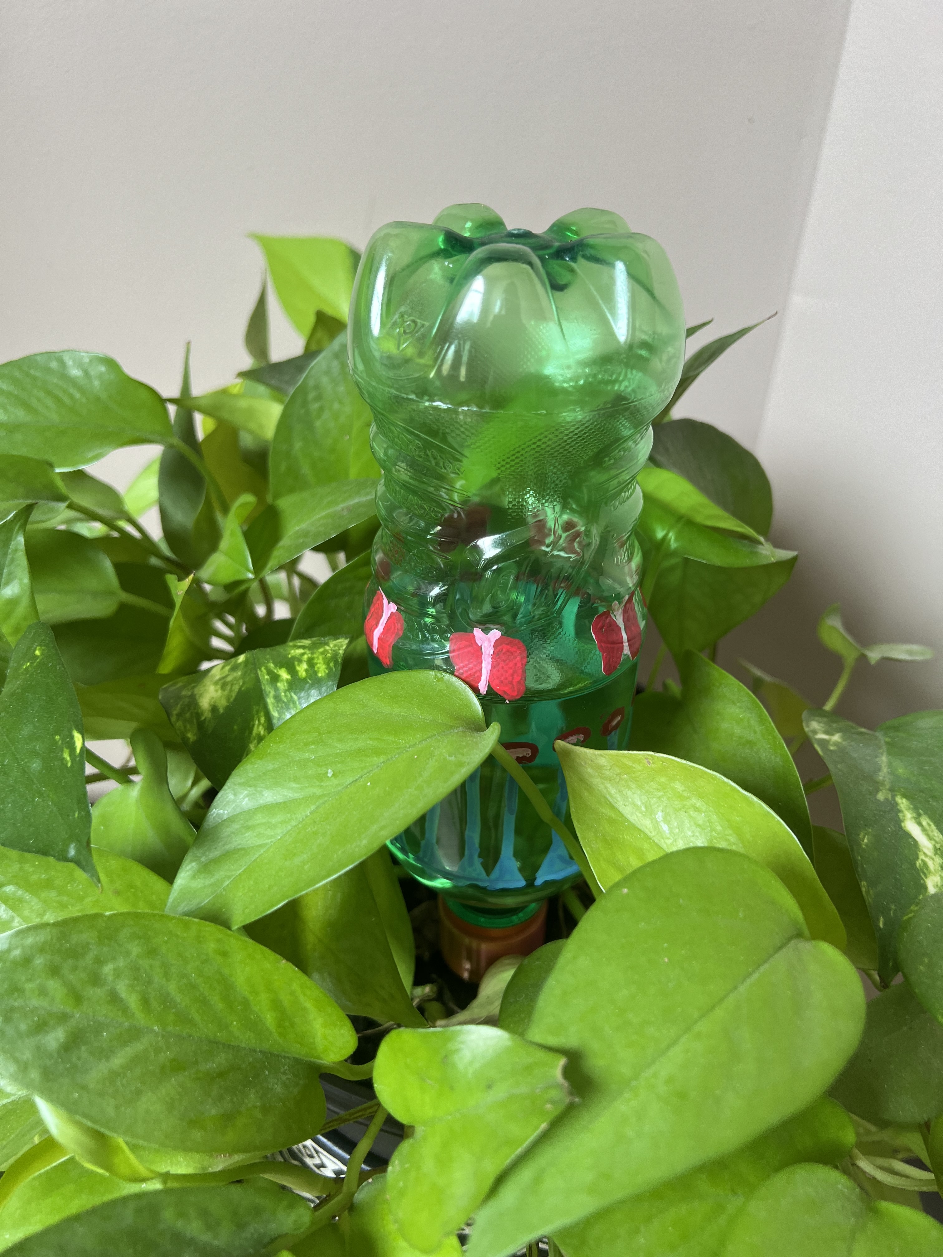 Self watering system for potted plants.