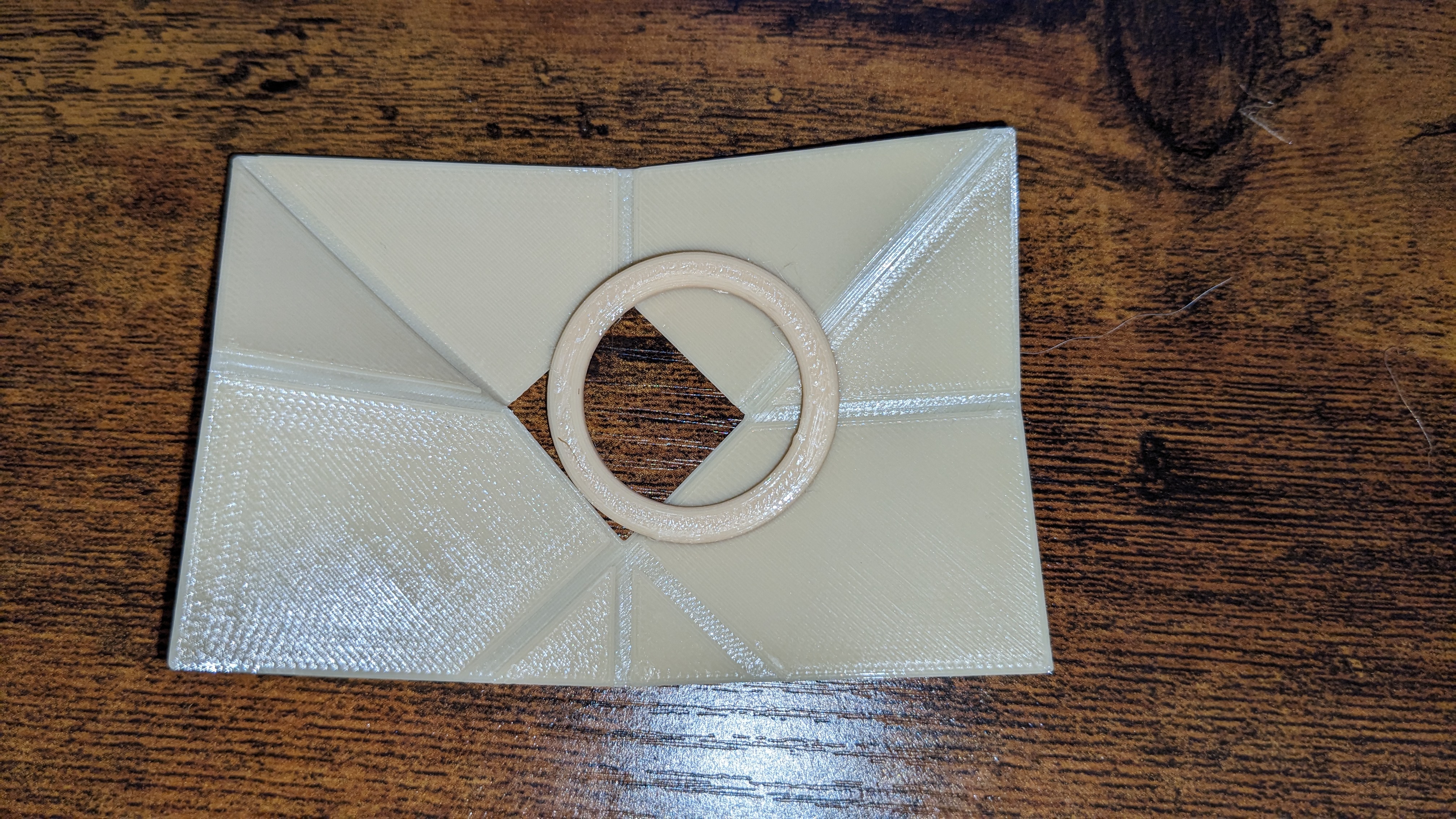 Coin Through Hole Puzzle