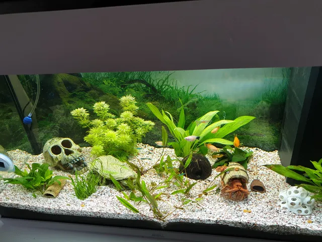 Shrimp Cave
