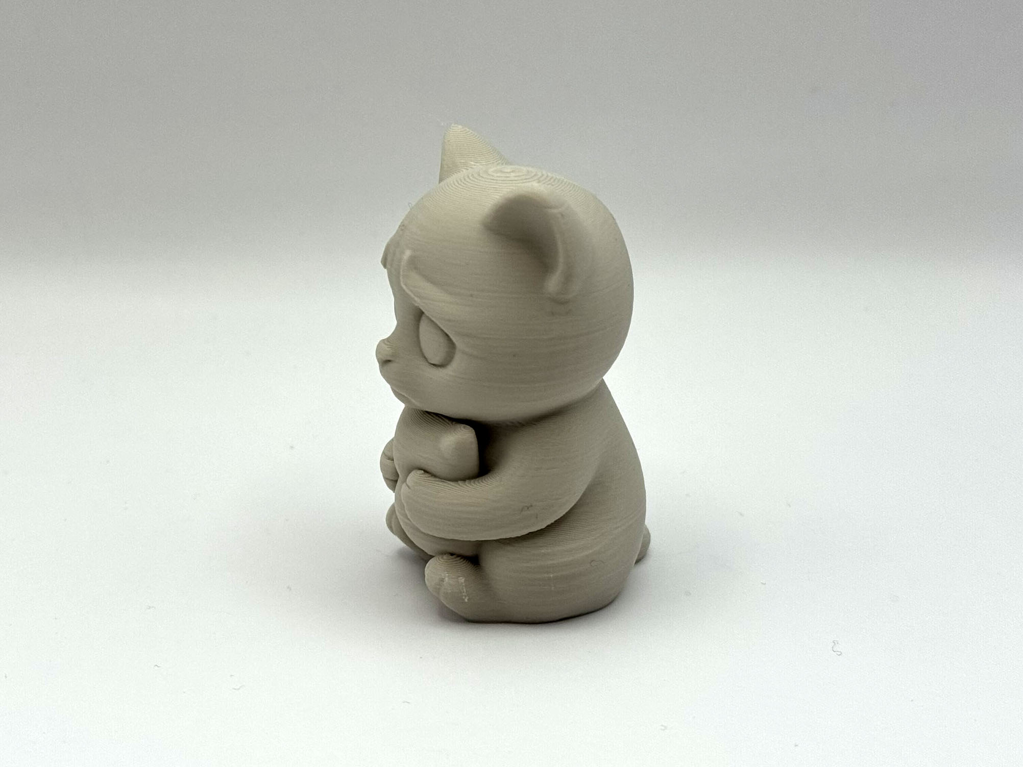 Miniatura 3 do modelo 3D Sad Cat Buddy