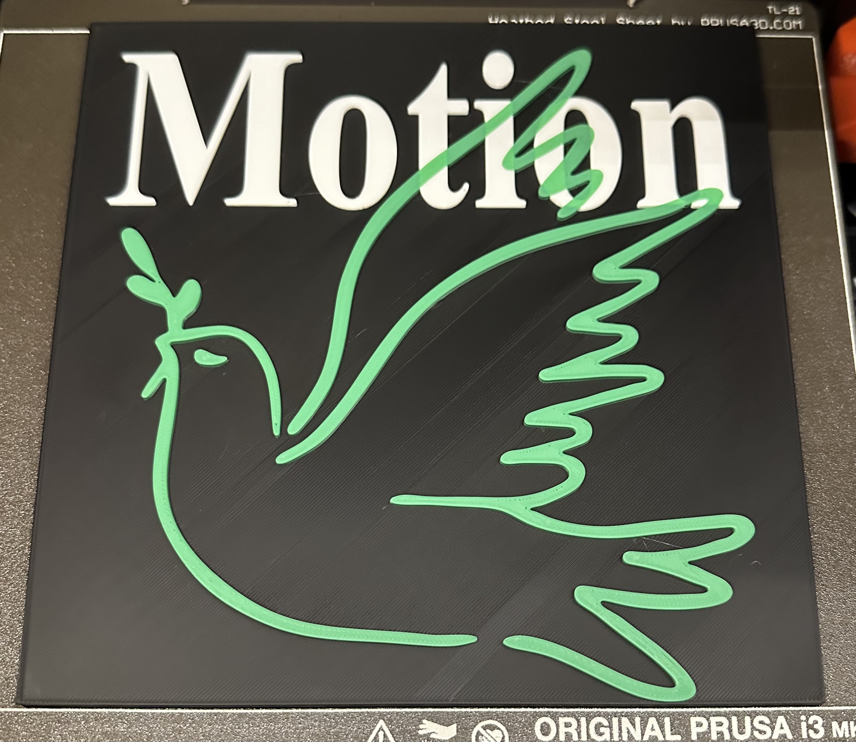 Motion Conference Dove