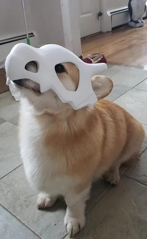 Cubone Pet Mask! by Perplexed Download free STL model